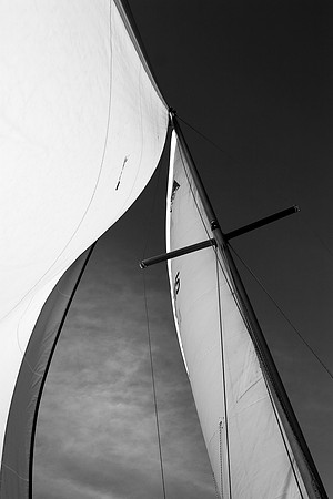 Sail 0565 BW