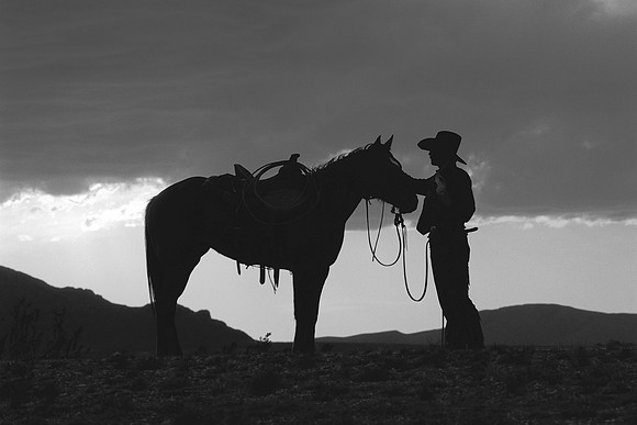Shot Brannon Silhouette