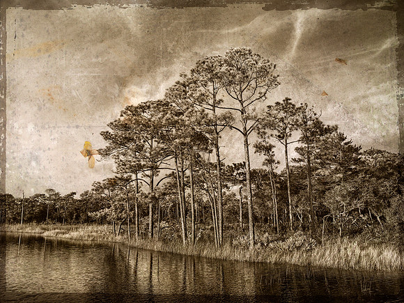 Coastal Lake