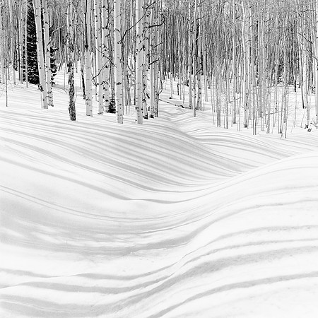 Aspen Shades