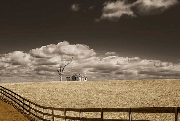 Madison Farmland