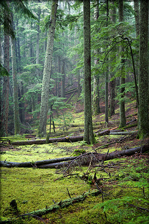 Orcas Island